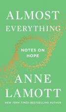 book cover for Almost Everything