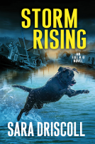 book cover for Storm Rising