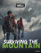 book cover for Surviving the Mountain