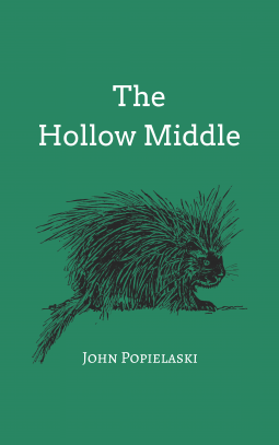 book cover for The Hollow Middle