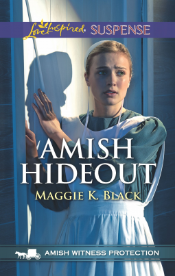 book cover for Amish Hideout