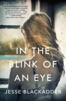 book cover for In the Blink of an Eye