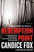 book cover for Redemption Point