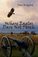 book cover for Where Eagles Dare Not Perch