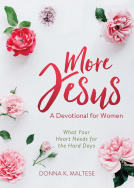 book cover for More Jesus