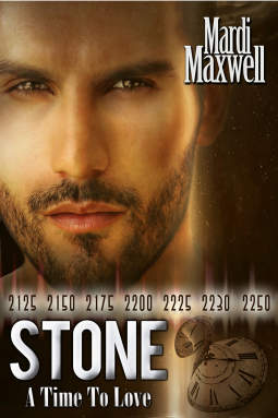 book cover for Stone