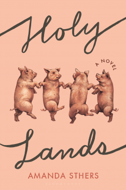 book cover for Holy Lands