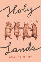 book cover for Holy Lands