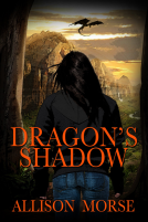 book cover for Dragon's Shadow