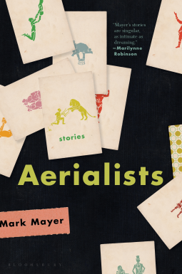 book cover for Aerialists