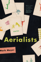 book cover for Aerialists
