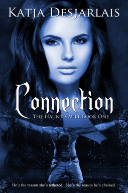 book cover for Connection