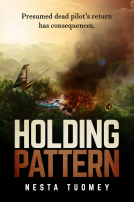book cover for Holding Pattern