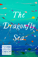 book cover for The Dragonfly Sea