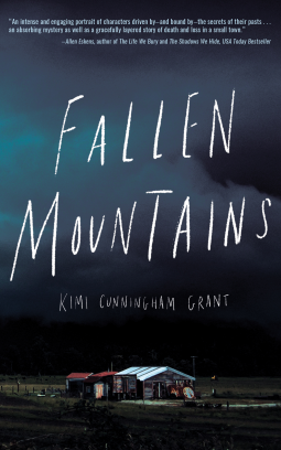 book cover for Fallen Mountains