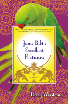 book cover for Jana Bibi's Excellent Fortunes