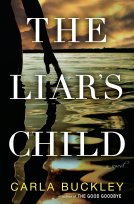 book cover for The Liar's Child