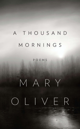 book cover for A Thousand Mornings