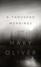 book cover for A Thousand Mornings