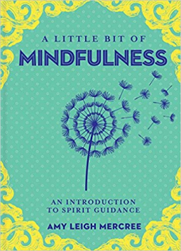 book cover for A Little Bit of Mindfulness