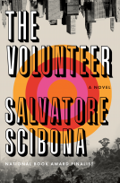book cover for The Volunteer