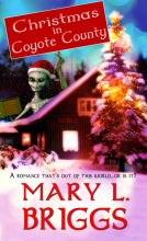 book cover for Christmas in Coyote County