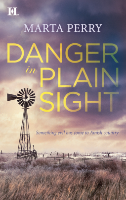book cover for Danger in Plain Sight