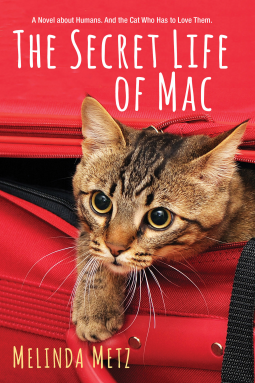 book cover for The Secret Life of Mac