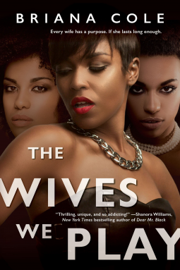 book cover for The Wives We Play