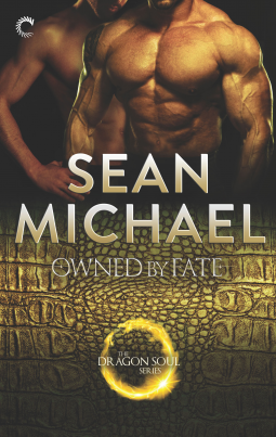 book cover for Owned by Fate