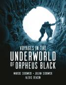 book cover for Voyages in the Underworld of Orpheus Black