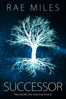 book cover for Successor