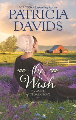 book cover for The Wish