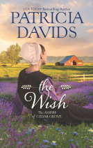 book cover for The Wish