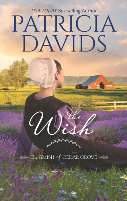 book cover for The Wish