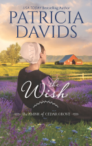 book cover for The Wish