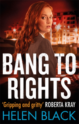 book cover for Bang to Rights