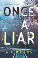 book cover for Once a Liar