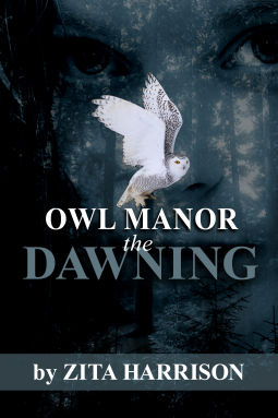 book cover for Owl Manor - the Dawning