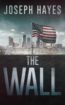 book cover for The Wall
