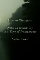 book cover for How to Disappear