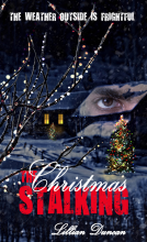 book cover for The Christmas Stalking