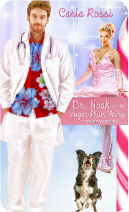 book cover for Dr. Noah and the Sugar Plum Fairy