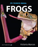 book cover for My Favorite Animal: Frogs