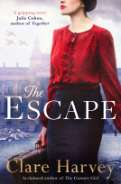 book cover for The Escape