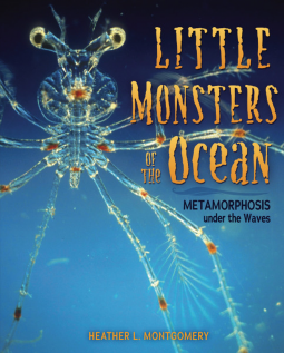 book cover for Little Monsters of the Ocean