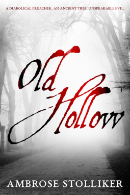 book cover for Old Hollow