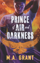 book cover for Prince of Air and Darkness