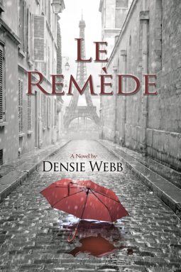 book cover for Le Remède