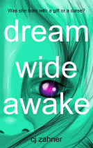 book cover for Dream Wide Awake